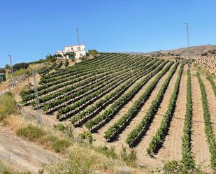 Vista exterior de Finca rústica en venda en Lobras amb Jardí privat, Terrassa i Traster