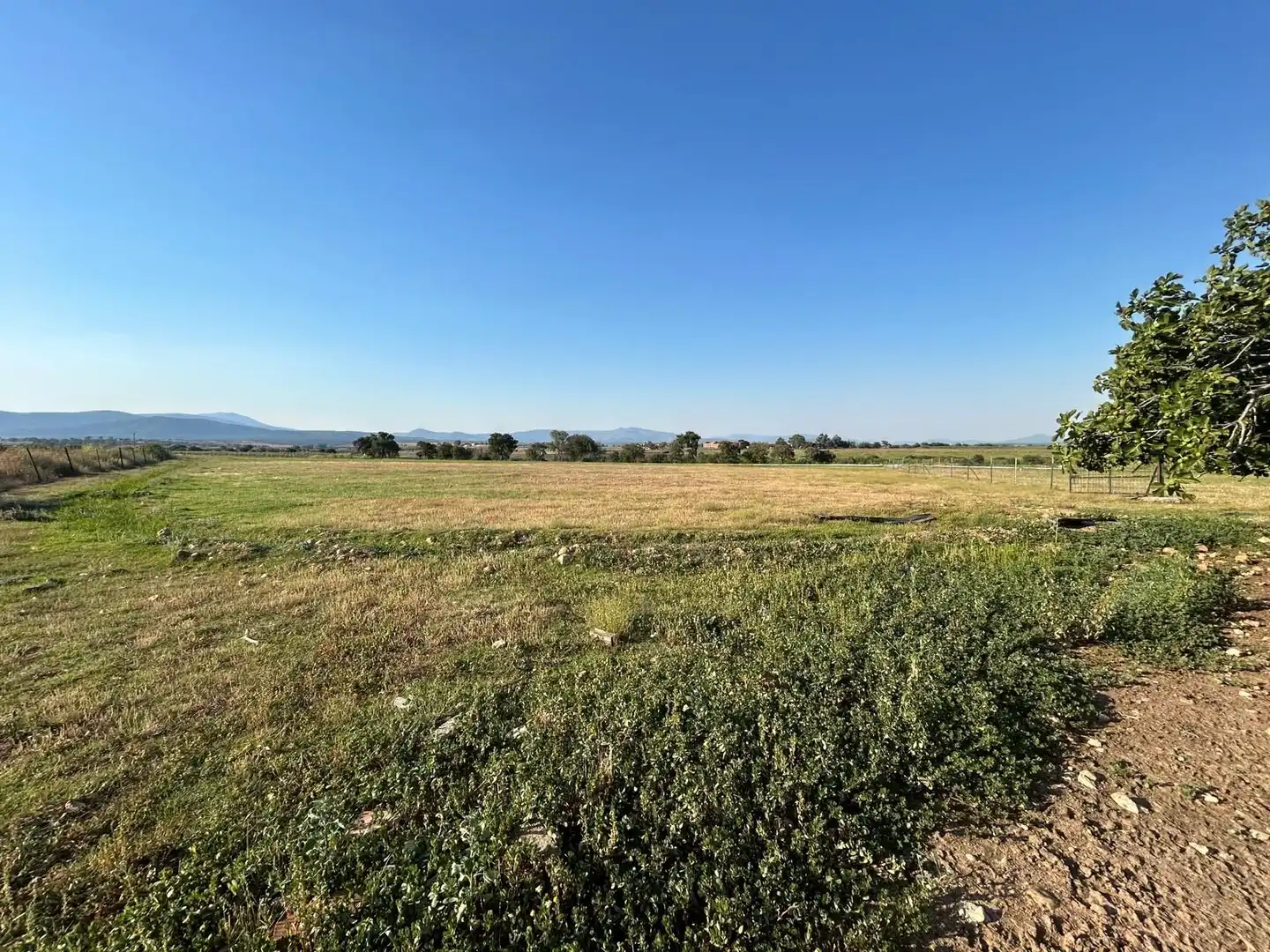 Terreno en venta en Vegaviana