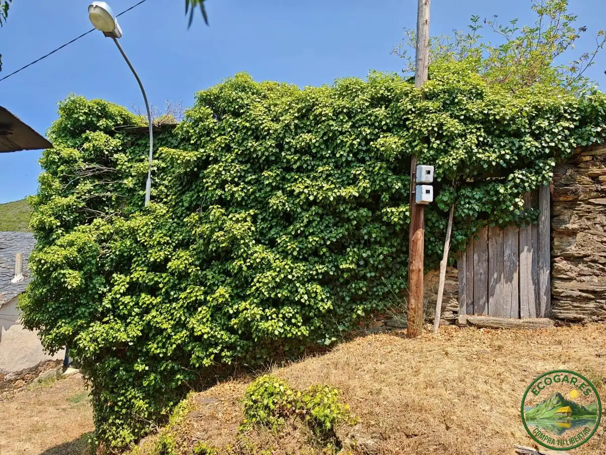 Jardín de Casa adosada en venta en Borrenes