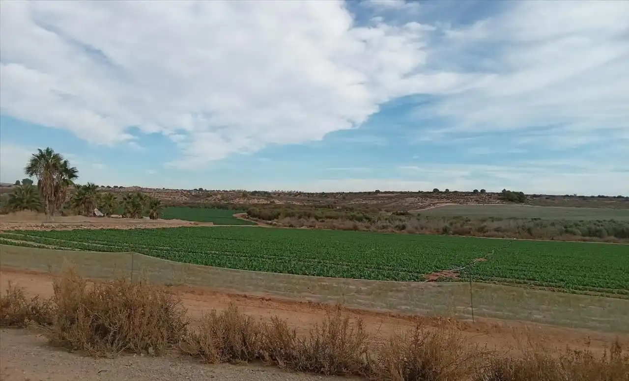 Terreni e lotti in vendita a PP GRANADOS 5 R-11-A en GEA Y TRUYOLS, imagen 5