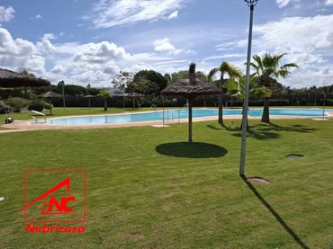 Appartamento con piscina in affitto a Las Tres Piedras - Costa Ballena
