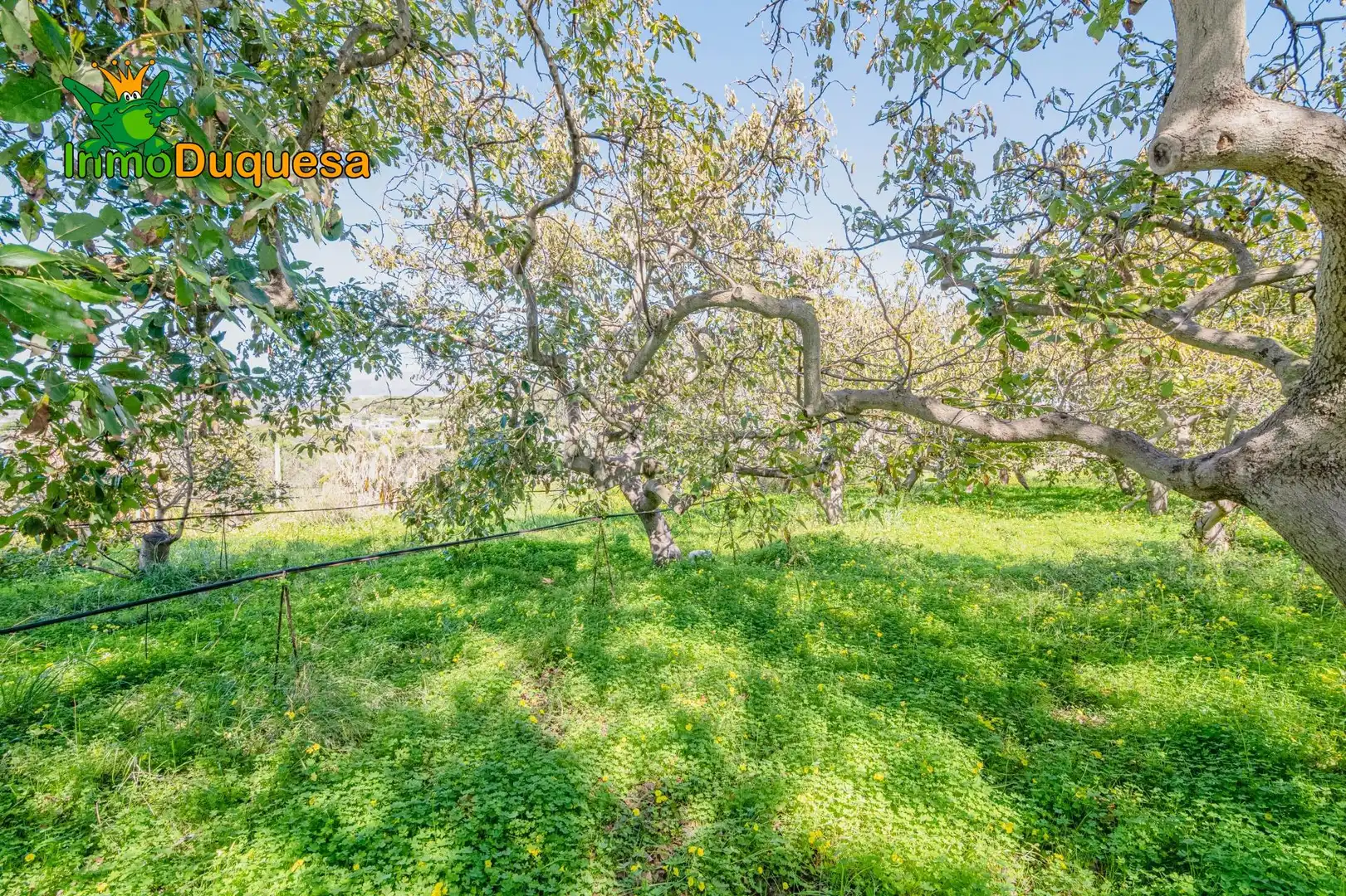 Detached house with pool for sale in Los Tablones - La Garnatilla, imagen 66