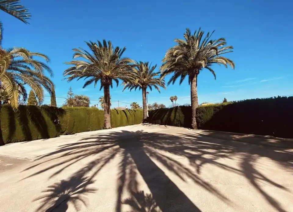 Chalet con jardín en venta en Centro Urbano, imagen 2