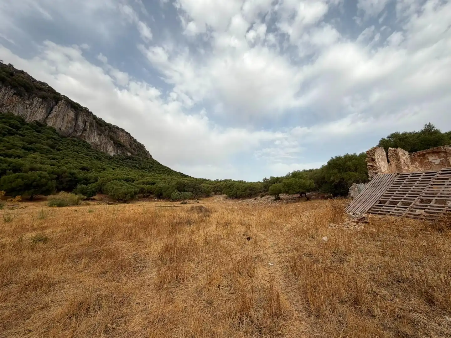 Rural land for sale in Morón de la Frontera, imagen 15