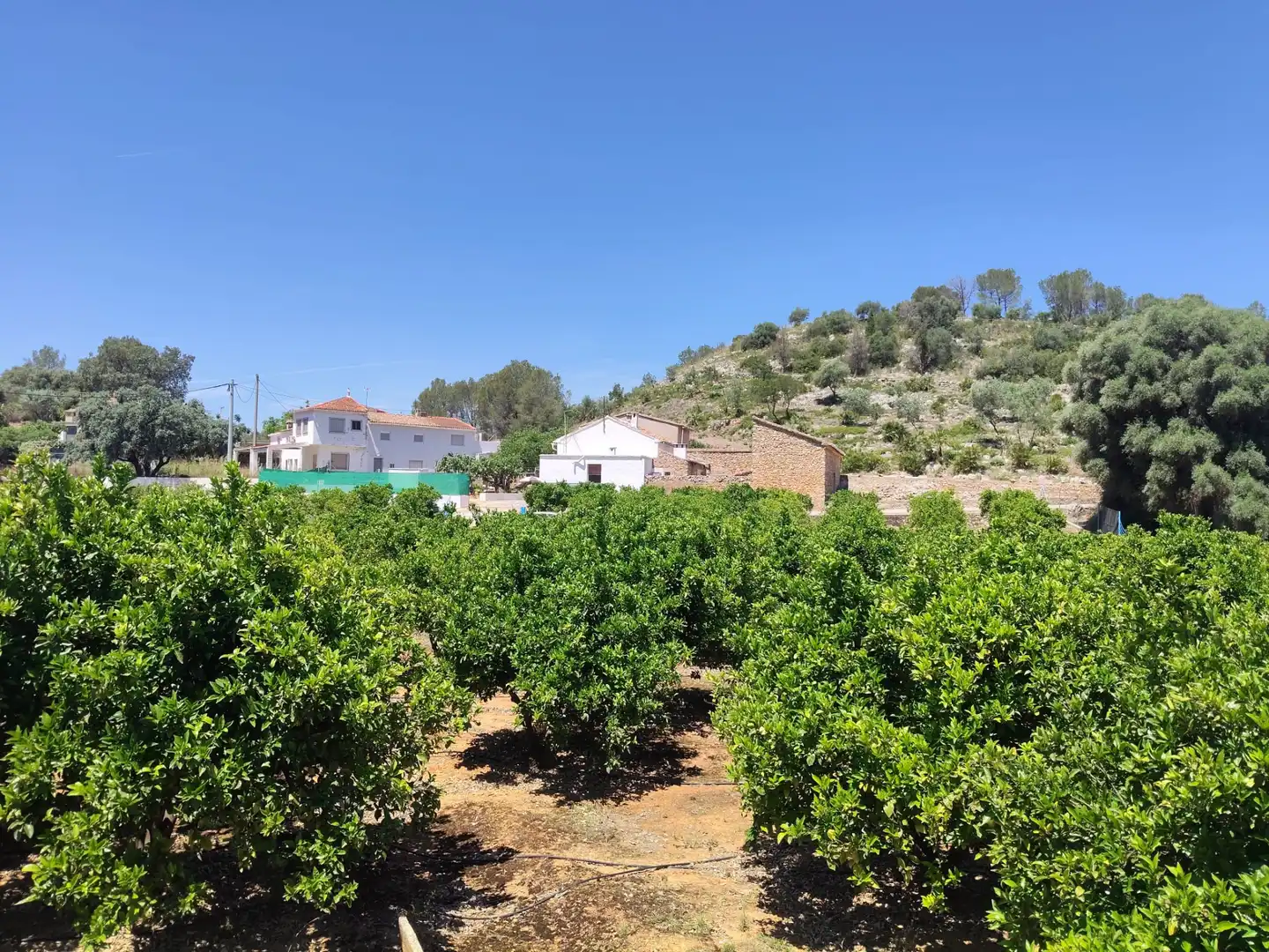 Finca rústica en venda en Simat de la Valldigna amb Jardí privat, Traster i Piscina