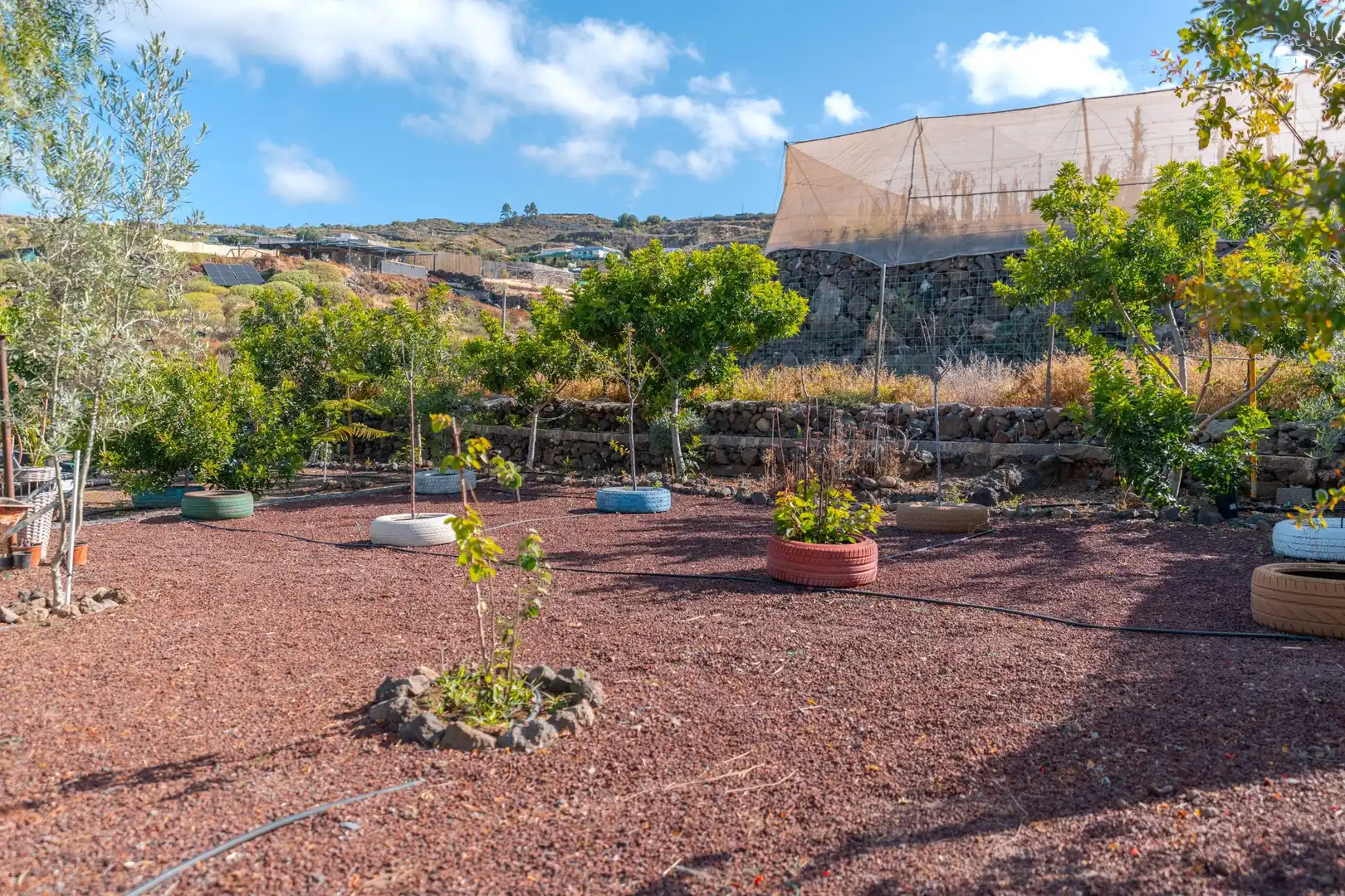 Garden of Country homes for sale in Guía de Isora  with Swimming Pool
