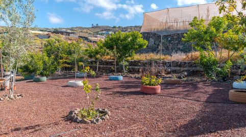 Foto 3 de Finca rústica en venta en Guía de Isora interior, Guía de Isora