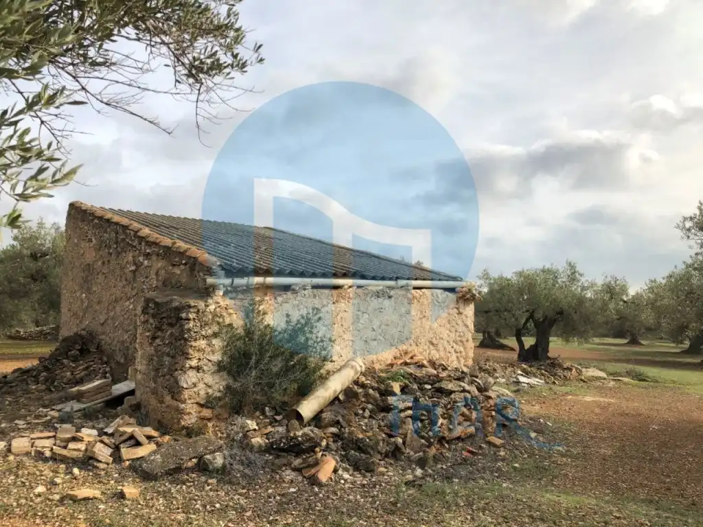 Finca rústica en venda en L'Ampolla