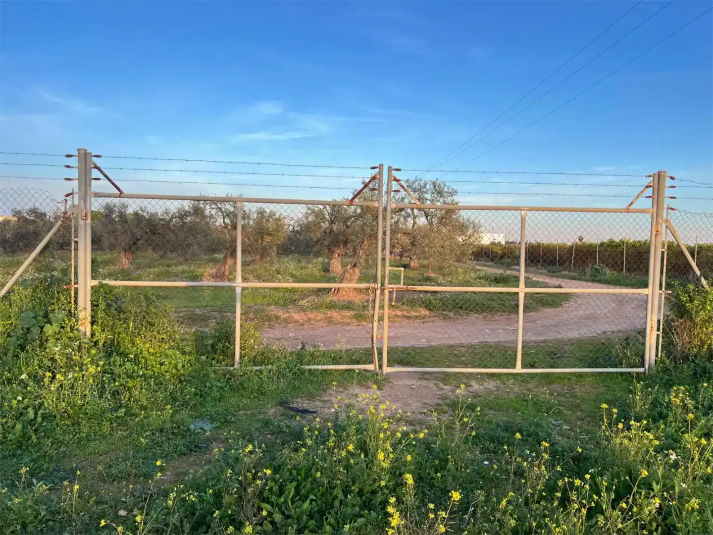 Terreno en venta en Benacazón