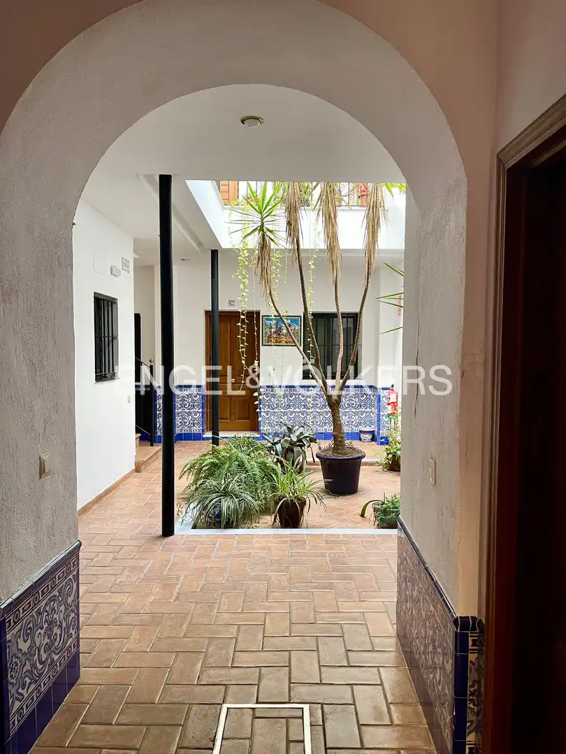Maisonette zur Miete in Triana Casco Antiguo
