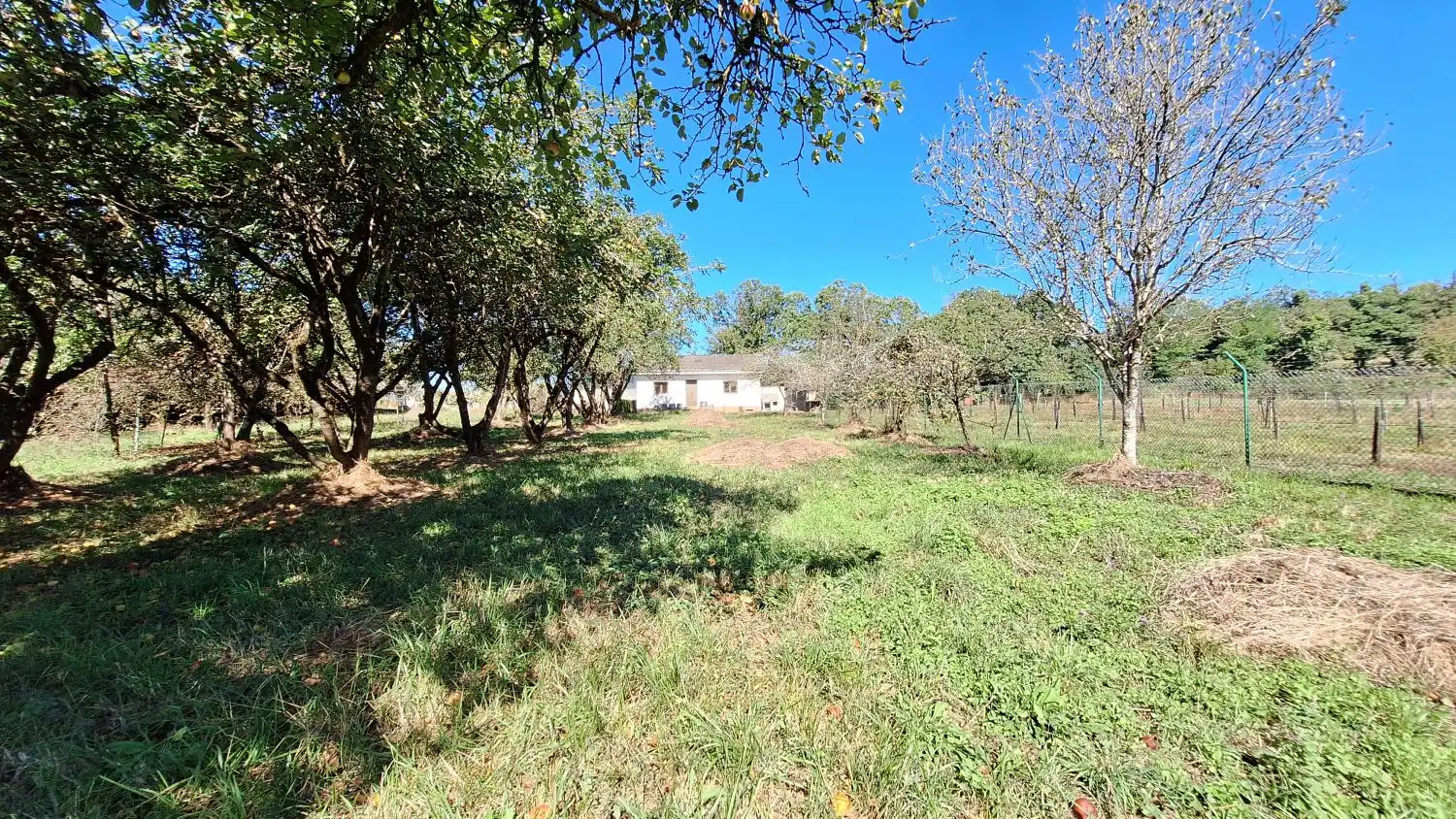 Finca rústica en venda a Las Regueras