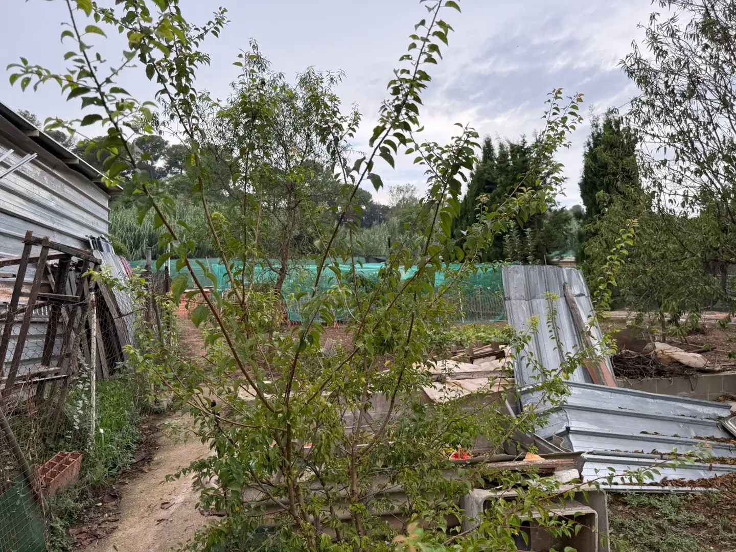 Jardín de Terreno en venta en Sabadell