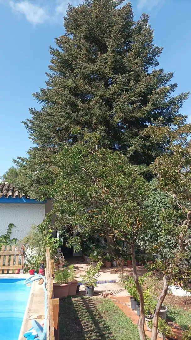 Garden of Country homes for sale in Ronda  with Heating, Private garden and Terrace