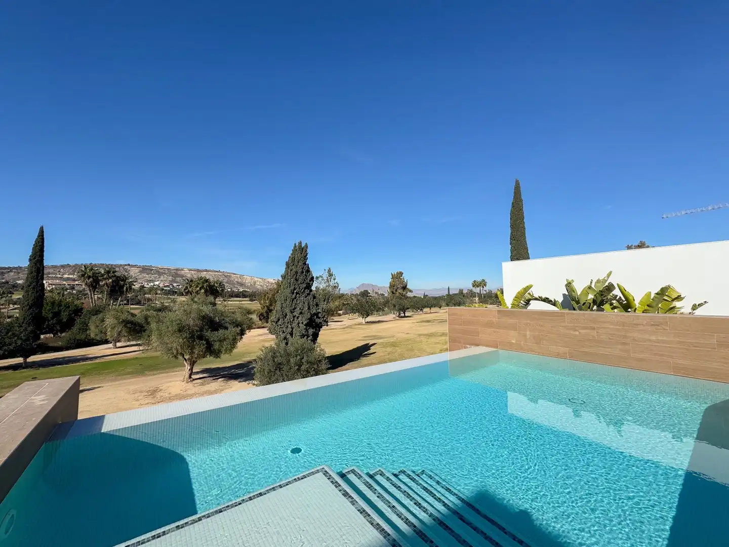 Chalet con piscina en venta en Algorfa, imagen 4