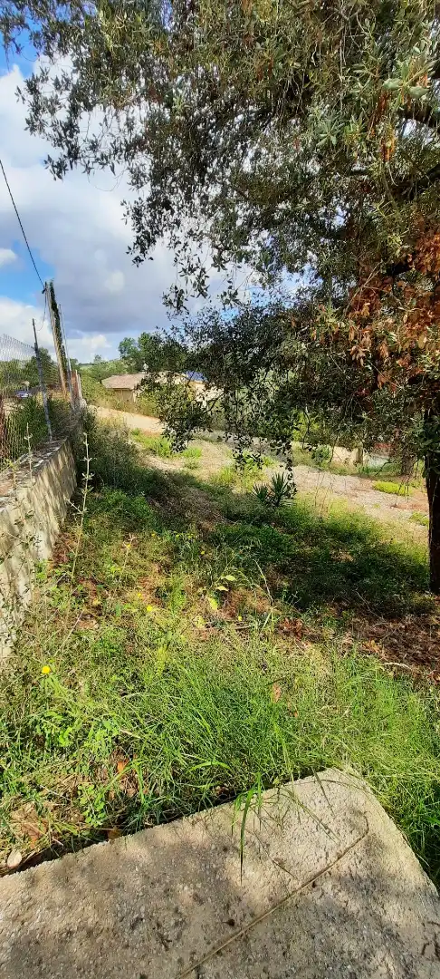 Residencial en venta en Olivella