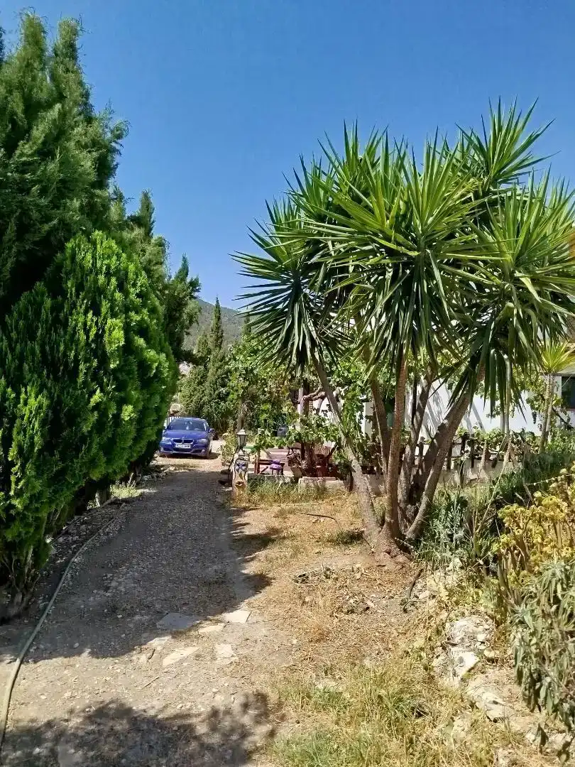 Vista exterior de Casa o chalet en venta en Algodonales con Jardín privado, Piscina y Amueblado