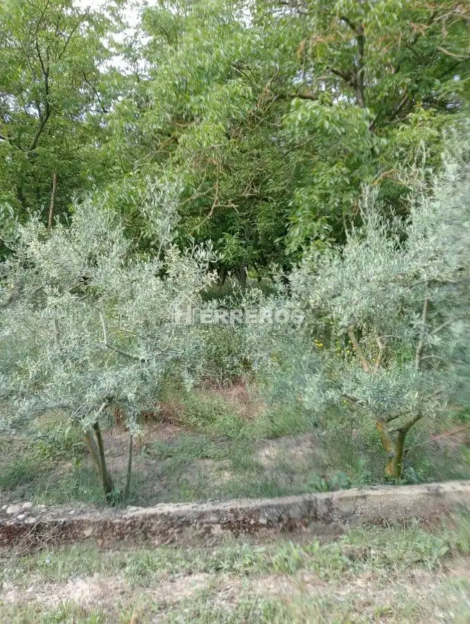 Finca rústica en venda en Arrúbal