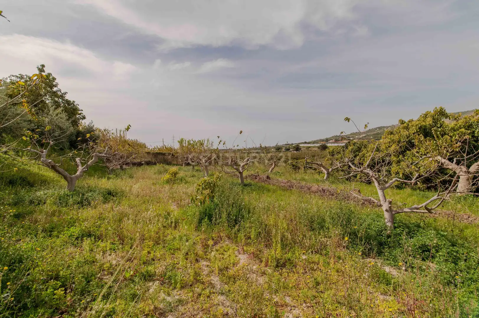 Houses for sale in Salobreña  with Private garden, Storage room and Washing machine