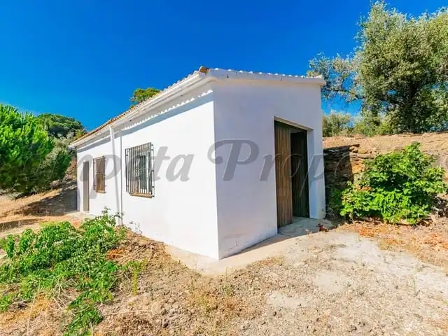 Apartament en venda a Arenas