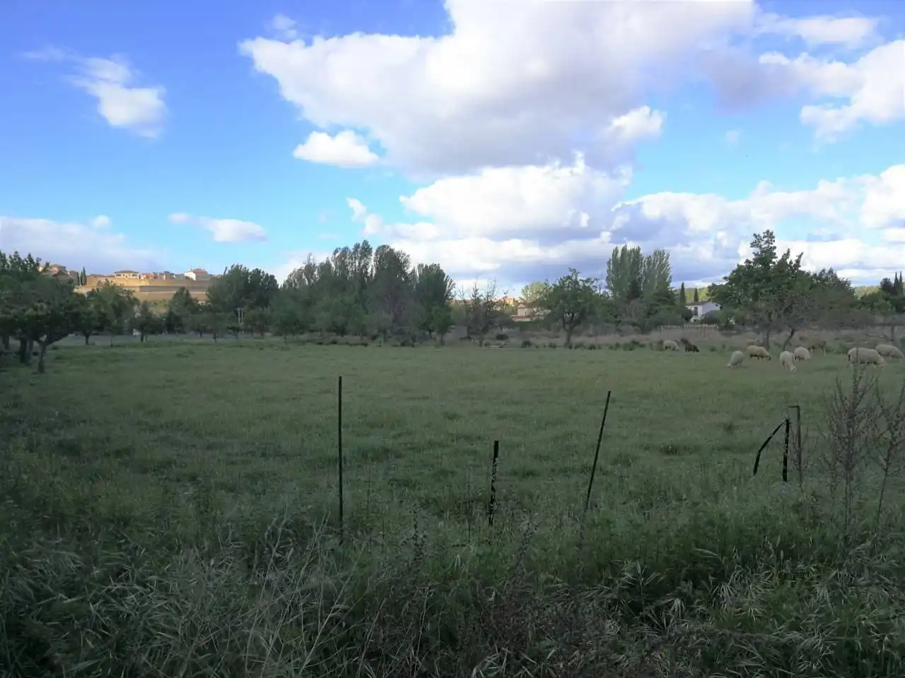 Terreno rústico en venta en Calle GAVIOTA, imagen 6