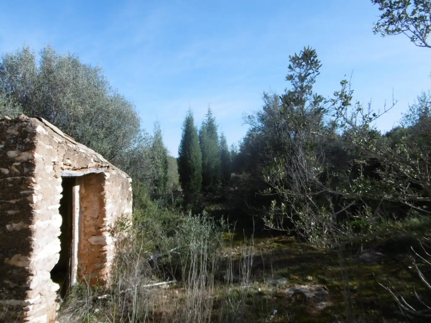 Casa rustica in vendita a Partida muñies, imagen 20