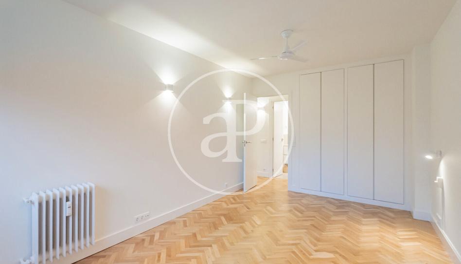 Foto 1 de Pis de lloguer a P.º de la Habana, Hispanoamérica - Bernabéu, Madrid