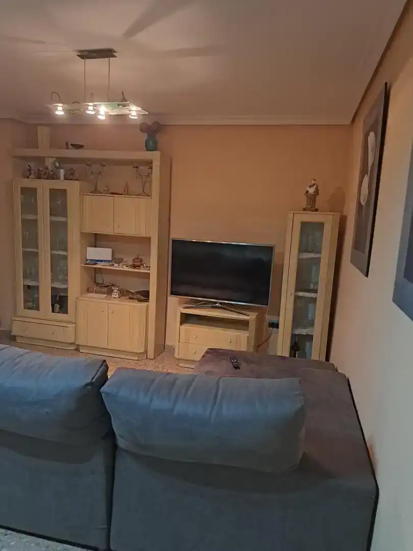 Sala d'estar de Pis en venda en Villanueva de Castellón amb Aire condicionat i Balcó