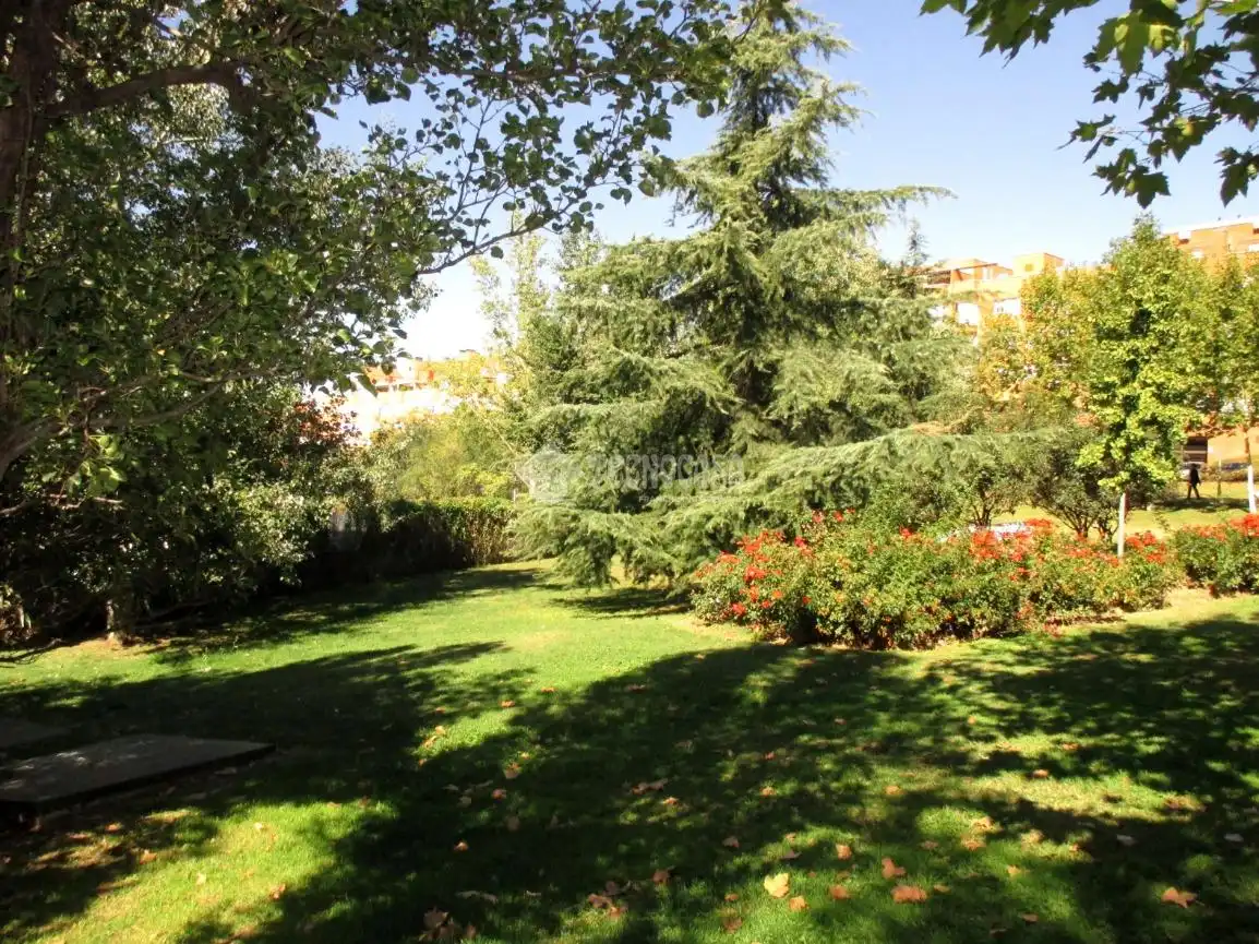 Jardín de Local en venta en Madrid con Aire acondicionado y Calefacción