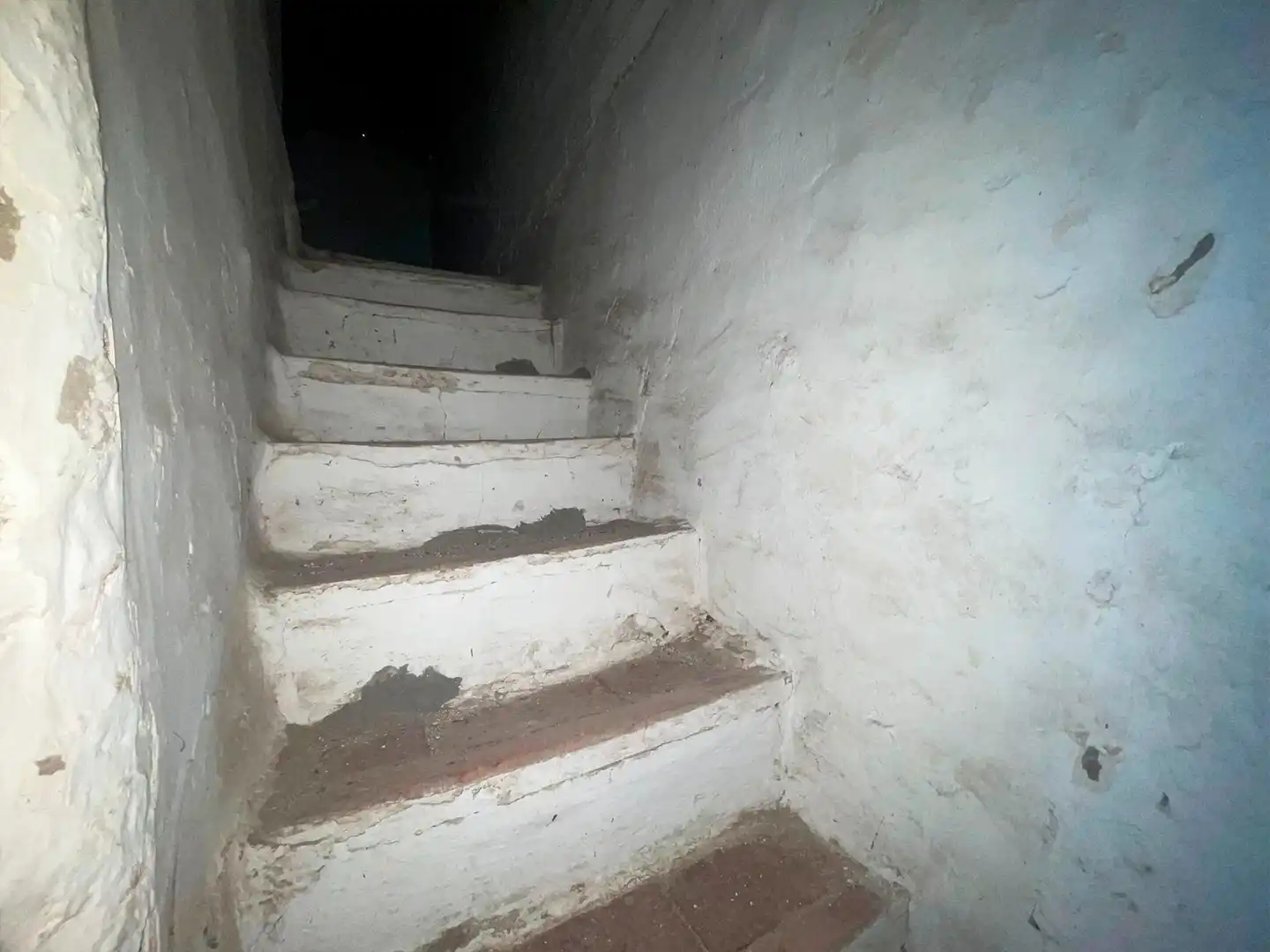 Haus zum Verkauf in La Mata, imagen 27