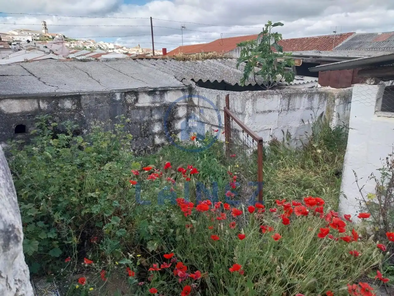Casa en venta en Fuente Obejuna, imagen 34