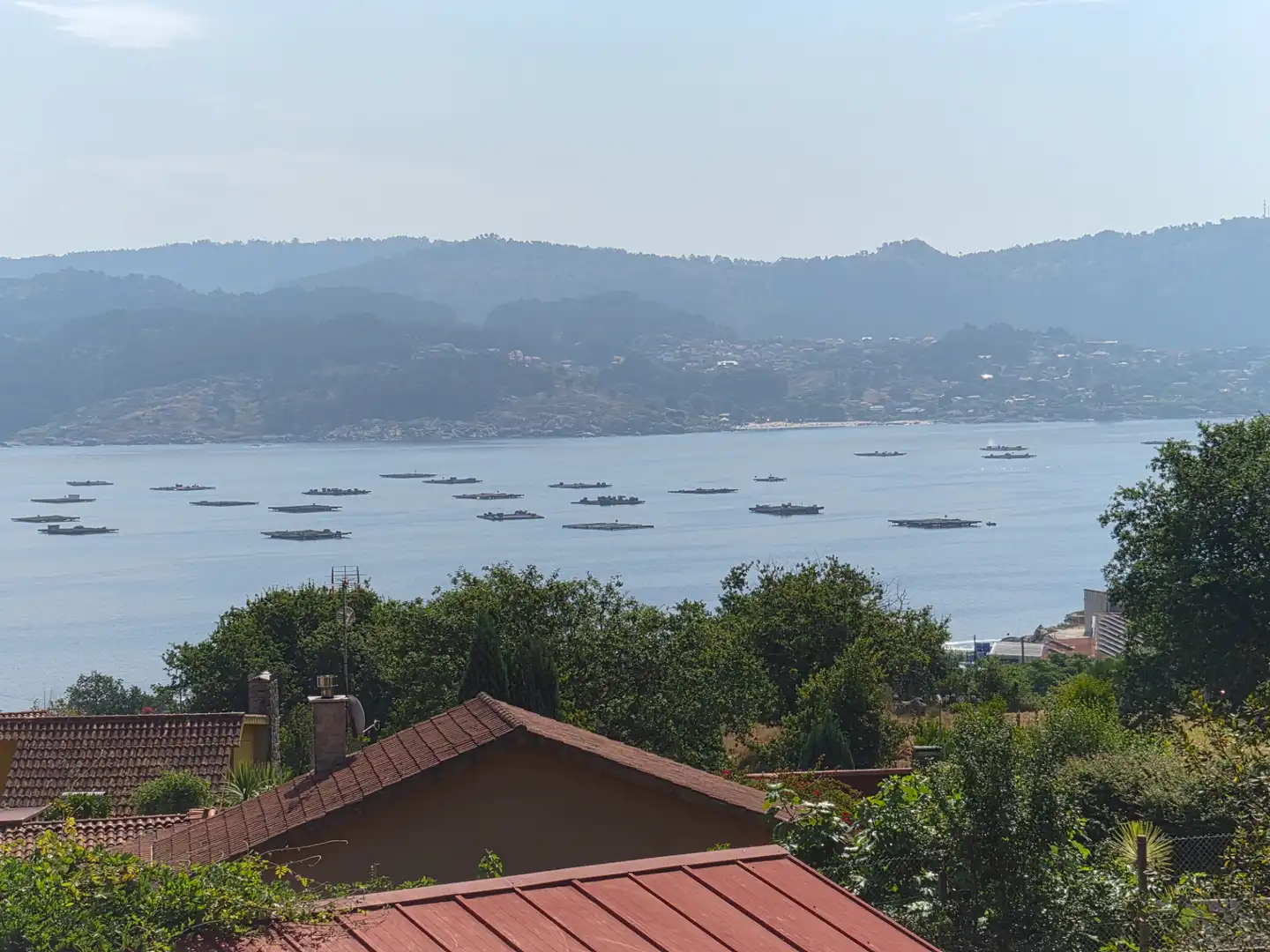 Houses for sale in O Hío