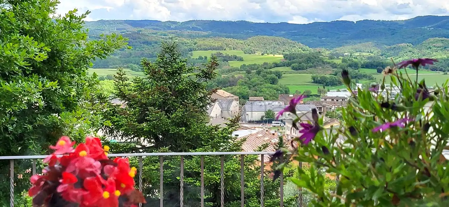 Vista exterior de Casa o chalet en venta en Olost con Jardín privado, Terraza y Piscina