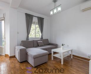 Living room of Flat to rent in Málaga Capital  with Air Conditioner, Terrace and Swimming Pool