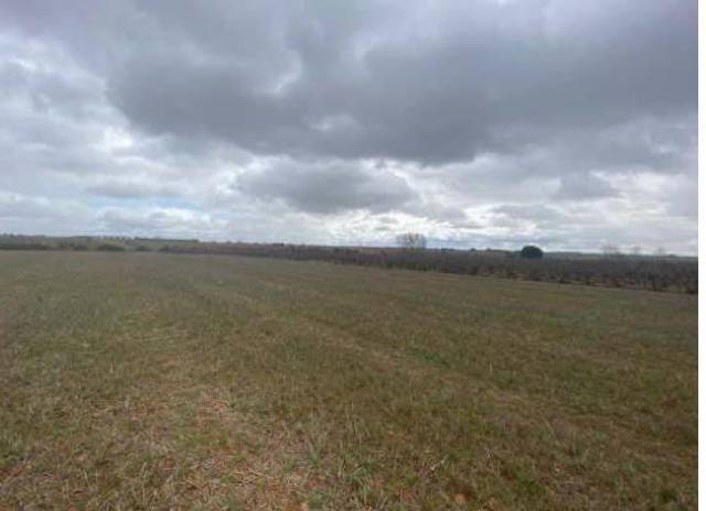 Terreno residencial en Venta en Calle Poligono 124 Valdefuente en Chozas de Abajo