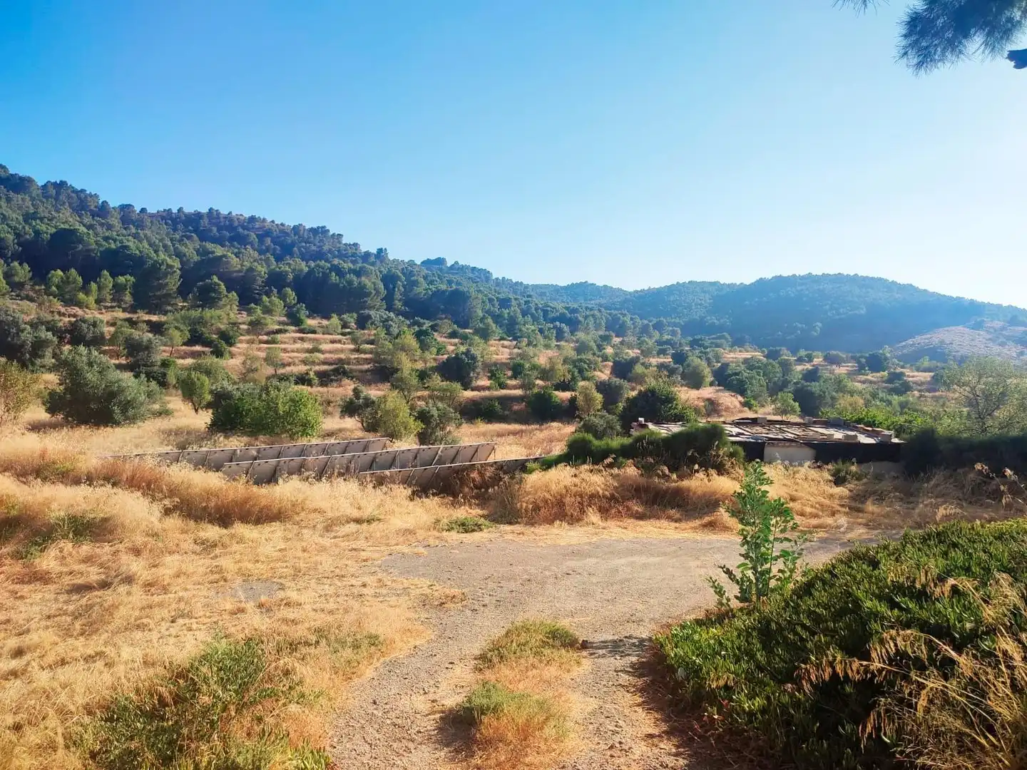 Terrains et parcelles à vendre à Pedanías Centro, imagen 22