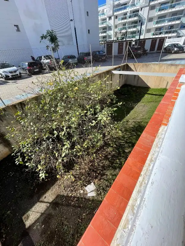 Jardí de Casa o xalet en venda en Torrox amb Aire condicionat, Calefacció i Terrassa