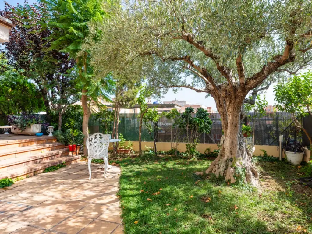 Jardín de Casa o chalet en venta en Altura