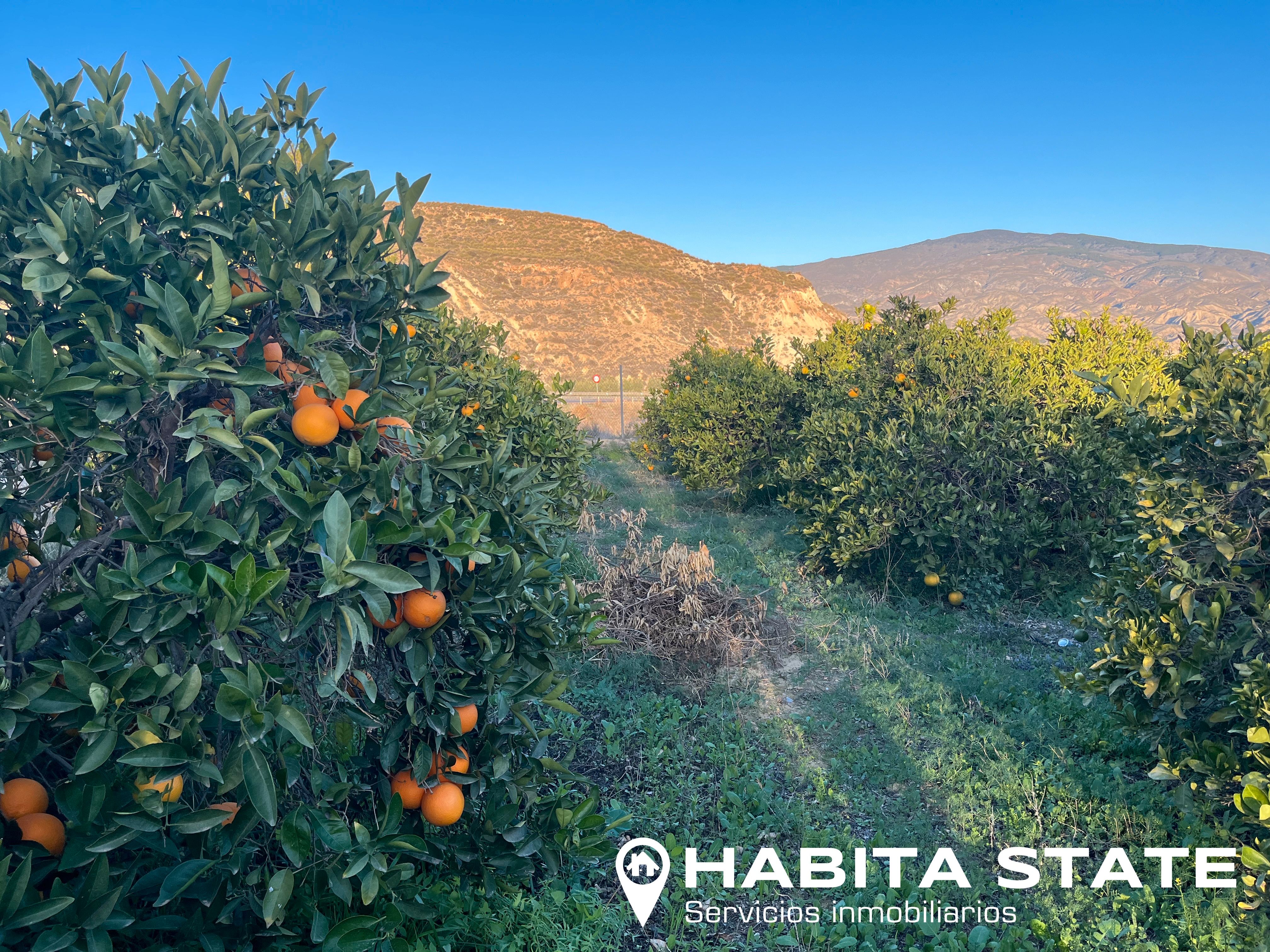 Exterior view of Land for sale in Illar