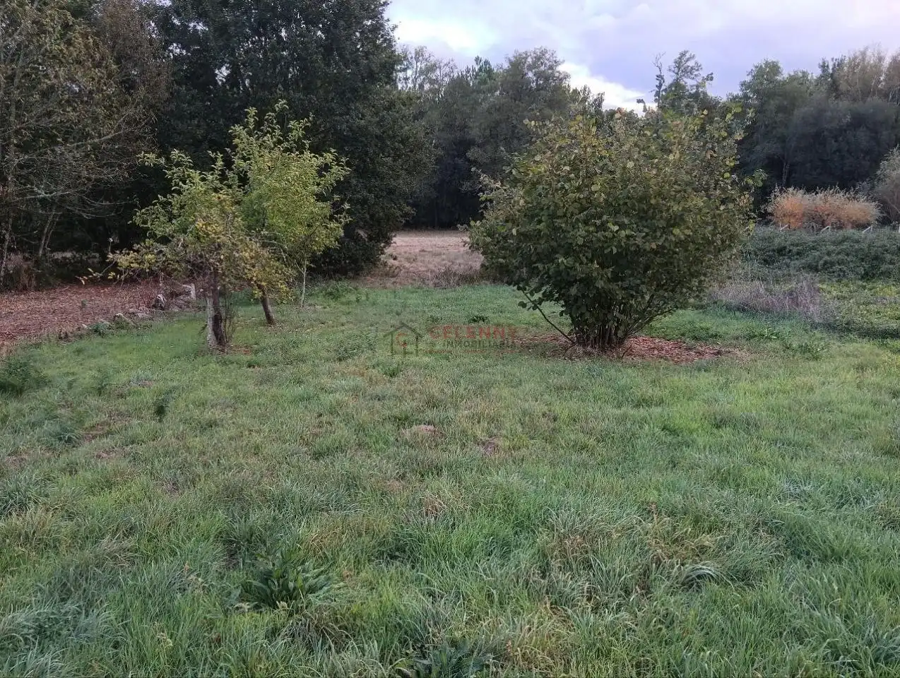 Rustikales Grundstück zum Verkauf in Amoeiro, imagen 4