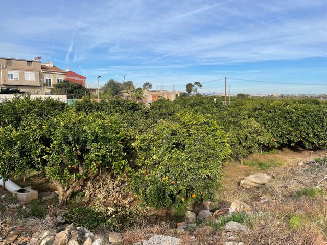 Terreno en Venta en C/ d' Entre Pins en Benicull de Xúquer