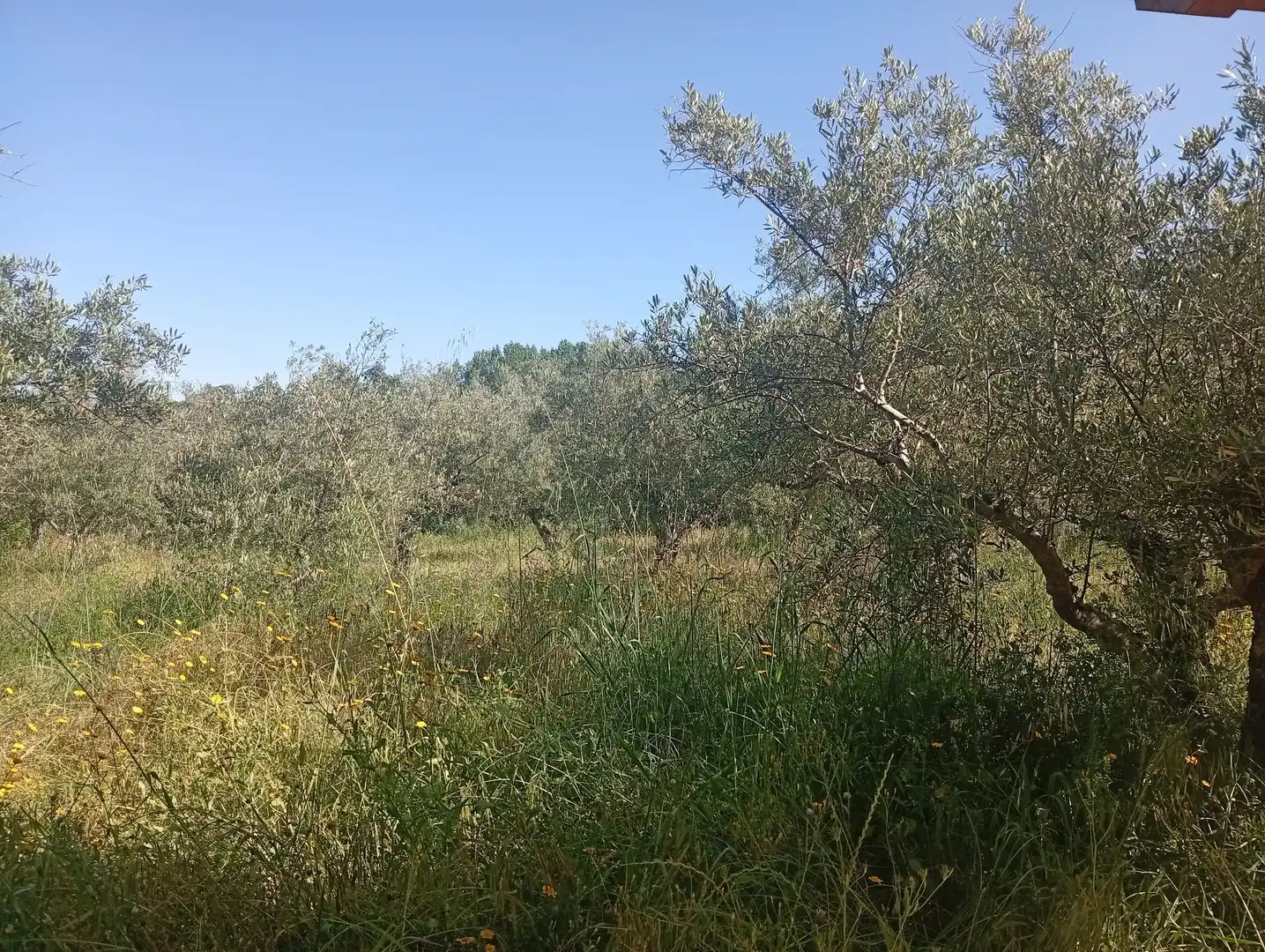 Maison à vendre à Villanueva de la Vera, imagen 93