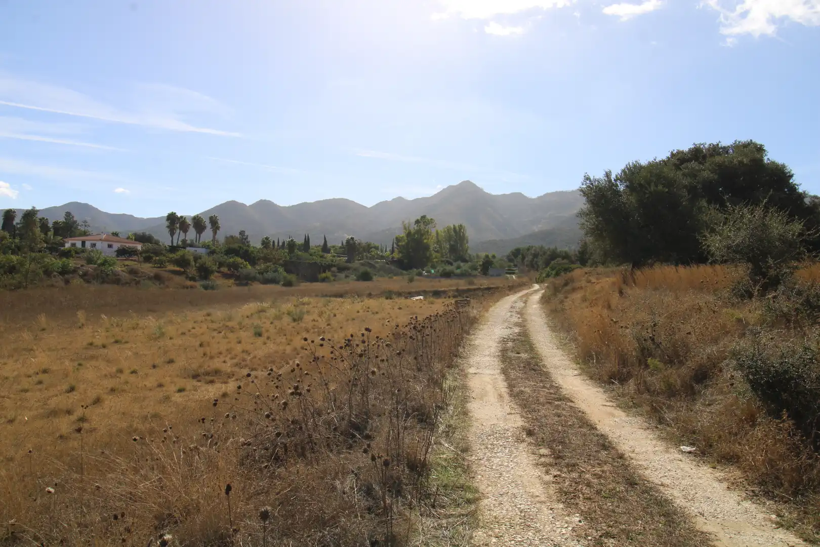 Terreno rustico in vendita a Buenavista - Lauro Golf, imagen 3