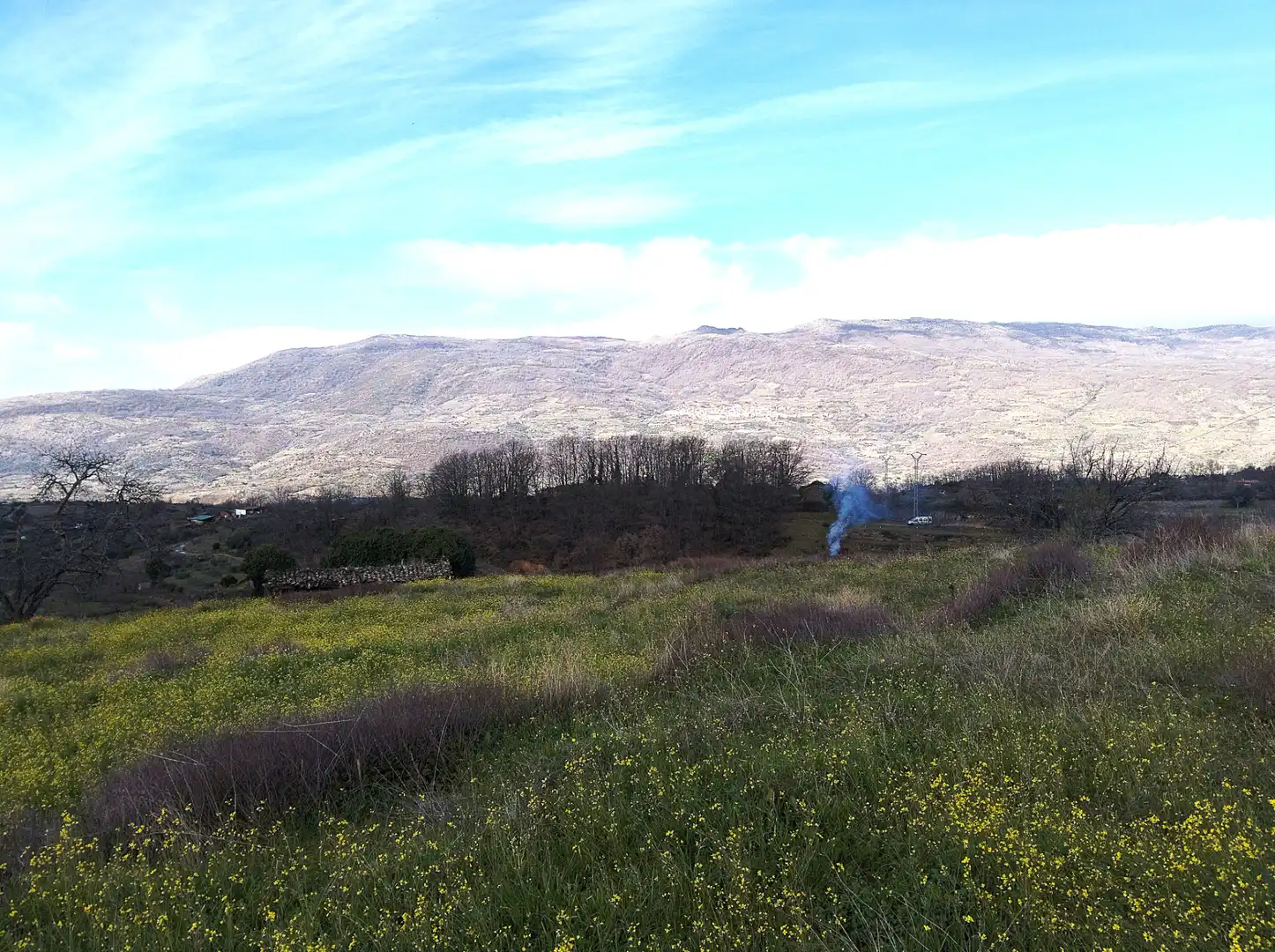 Land for sale in Casas del Castañar