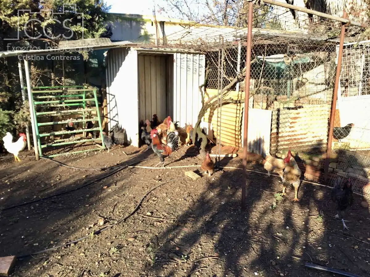 Vista exterior de Casa o xalet en venda en Sevilla amb Aire condicionat, Traster i Piscina