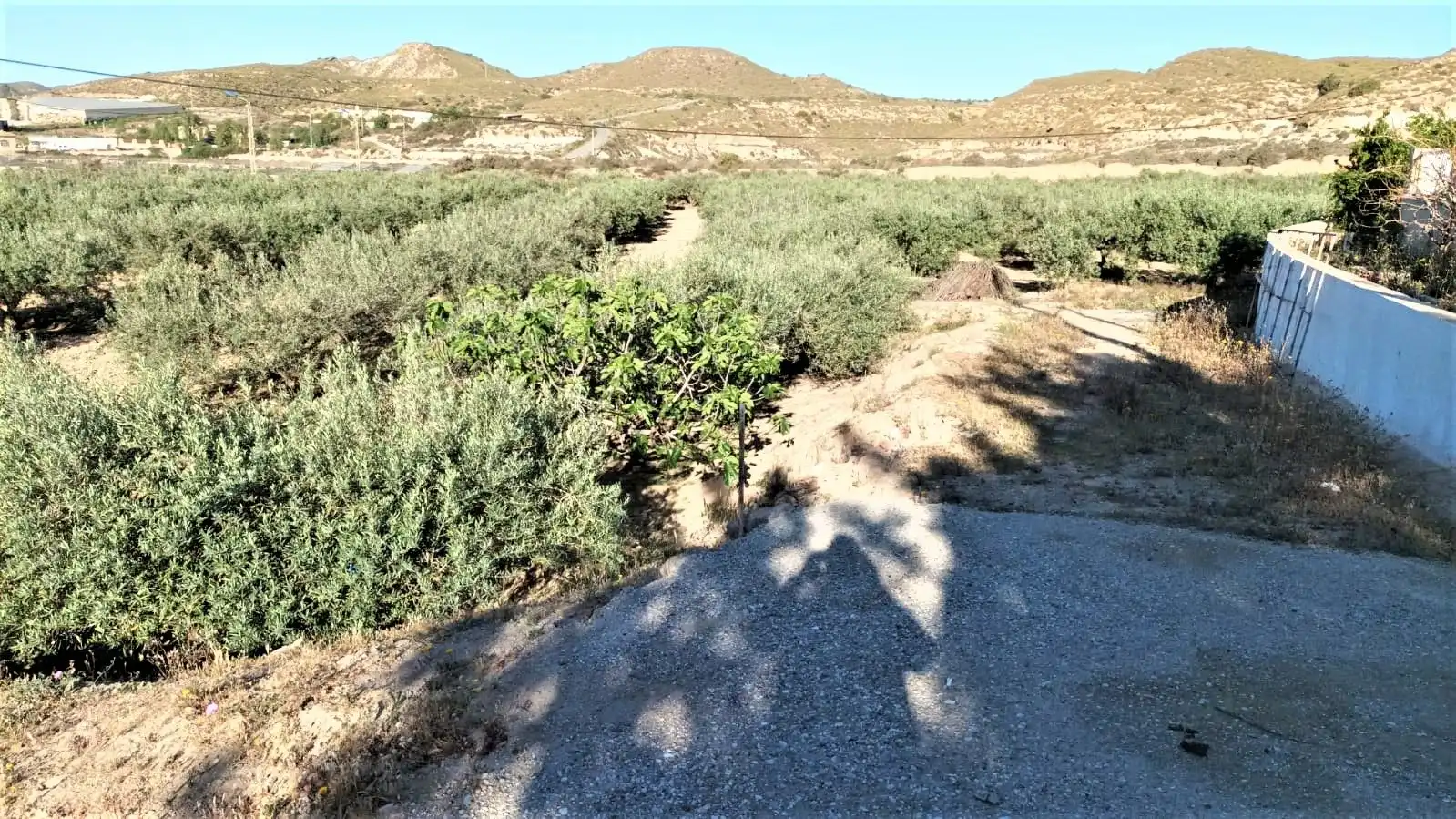 Residential land for sale in Carboneras, imagen 5
