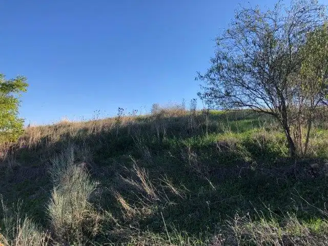 Terreny rústic en venda a C/ Estrella, imagen 11