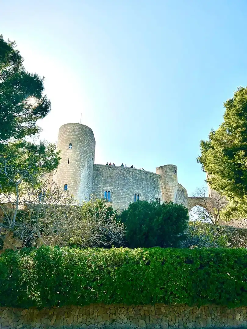 Vista exterior de Piso en venta en  Palma de Mallorca con Aire acondicionado, Terraza y Balcón