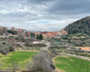 Vista exterior de Casa o xalet en venda en Les Avellanes i Santa Linya amb Calefacció, Jardí privat i Traster