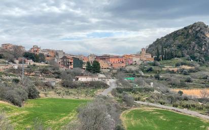 Vista exterior de Casa o xalet en venda en Les Avellanes i Santa Linya amb Calefacció, Jardí privat i Traster