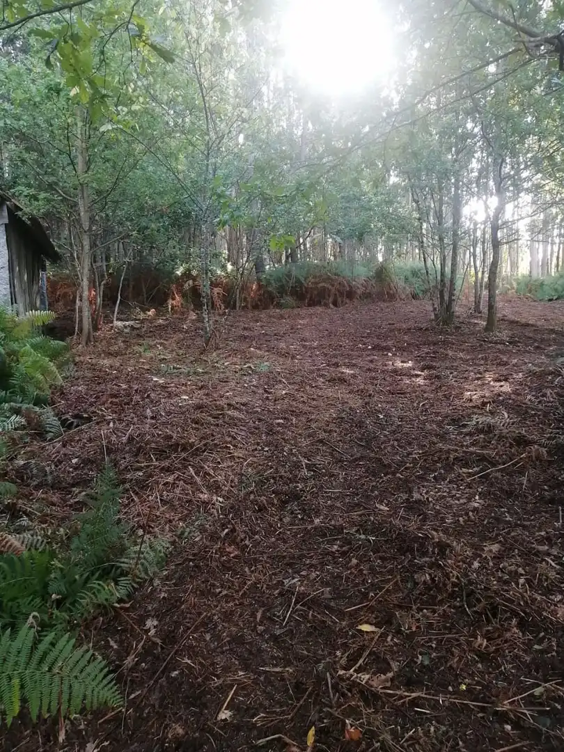 Finca rústica en venta en Ponteareas